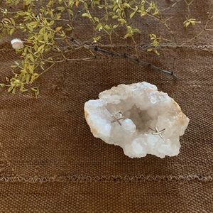 Tiffany & Co Paloma X Earrings